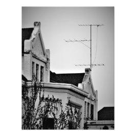 "Lunatic Fringe" Fototryck