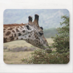 Lunch at Acacia Träd - Mousepad Musmatta