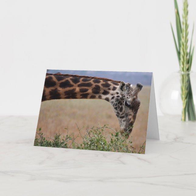 Lunch for One Kort (Framsida)