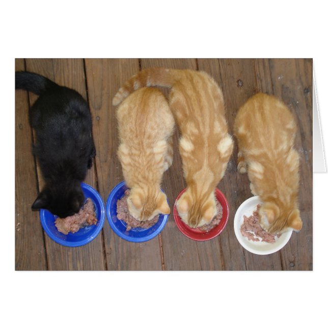 LUNCH! HÄLSNINGSKORT (Framsidan Horizontal)