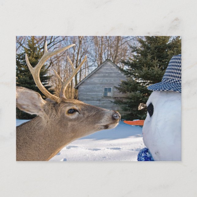 Lunch Inbjudan Vykort (Framsida)