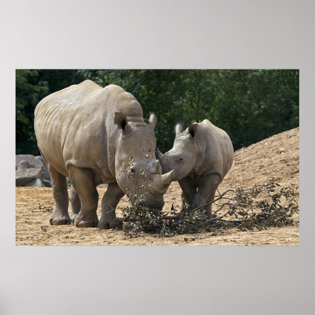 Lunch med Morsa-utskrift Poster (Framsidan)