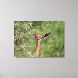 Lunch Time Canvastryck