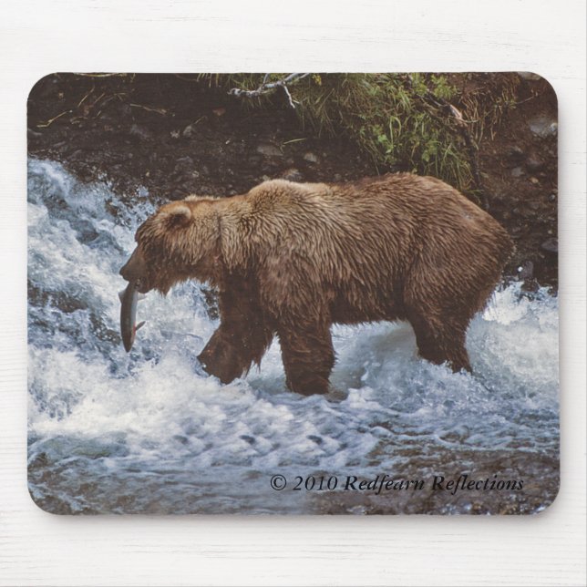 lunchtid, ©Redfearn reflexioner 2010 Musmatta (Framsidan)