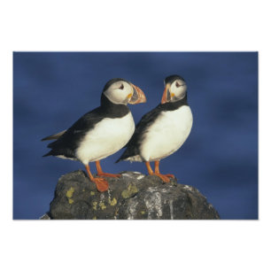 Lund Fototryck