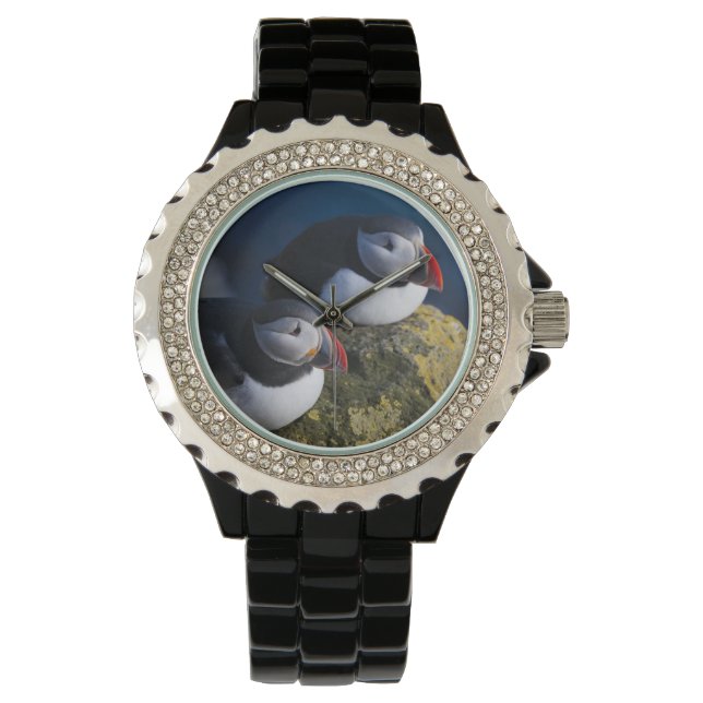 Lund (Fratercula arctica) 7 Armbandsur (Framsida)