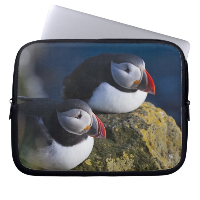 Lund (Fratercula arctica) 7 Laptop Fodral (Framsidan)