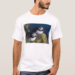 Lund (Fratercula arctica) 7 T-shirt