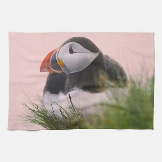 Lund (Fratercula arctica) Kökshandduk (Horisontell)