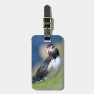 Lund (Fratercula Arctica) på klippa 2 Bagagebricka