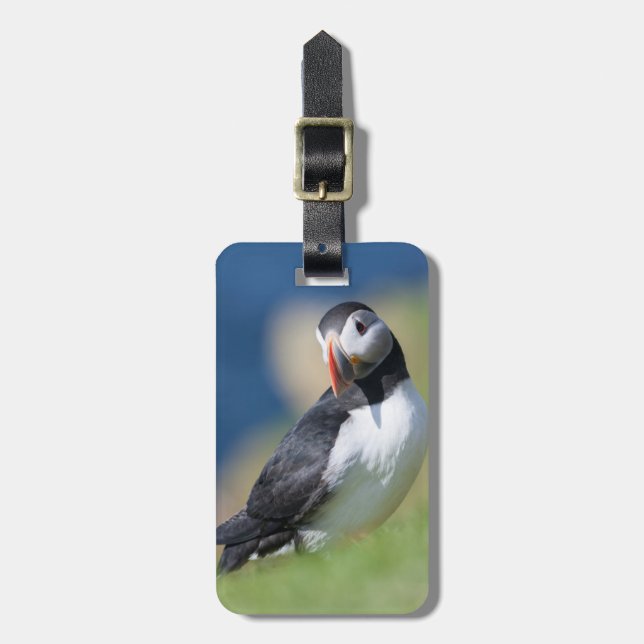 Lund (Fratercula Arctica) på klippa 2 Bagagebricka (Vertikal Framsida)
