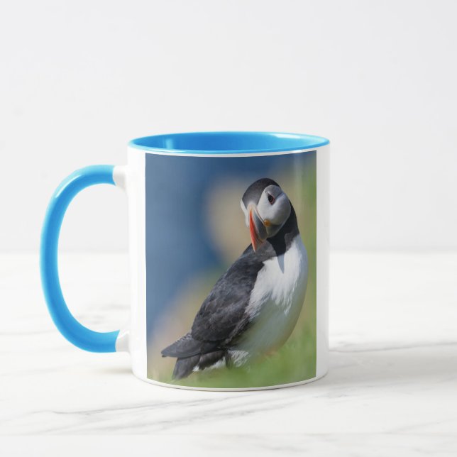 Lund (Fratercula Arctica) på klippa 2 Mugg (Vänster)
