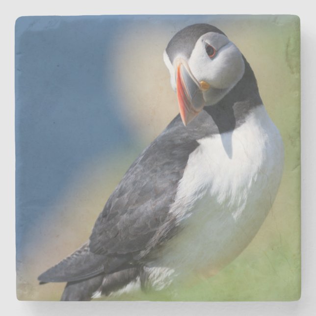 Lund (Fratercula Arctica) på klippa 2 Stenunderlägg (Framsidan)