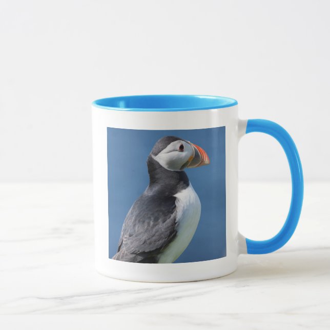Lund (Fratercula Arctica) På Klippa Mugg (Höger)