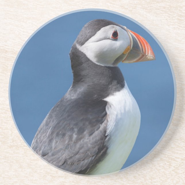 Lund (Fratercula Arctica) På Klippa Underlägg Sandsten (Framsidan)