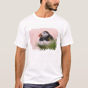 Lund (Fratercula arctica) T Shirt