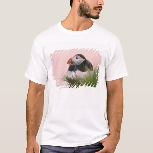 Lund (Fratercula arctica) T Shirt (Framsida)