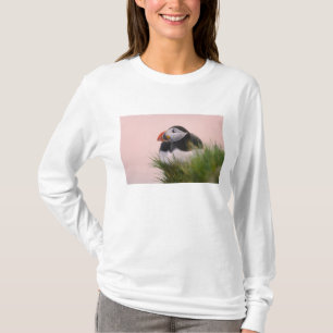Lund (Fratercula arctica) Tröja
