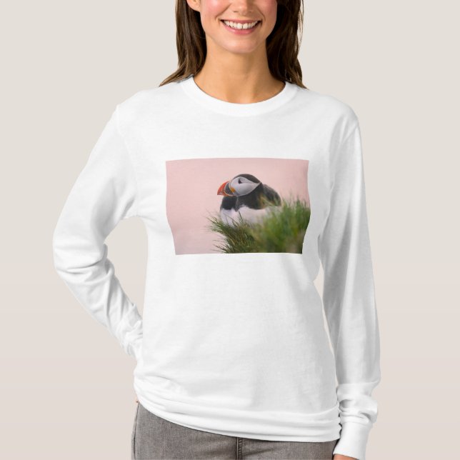 Lund (Fratercula arctica) Tröja (Framsida)