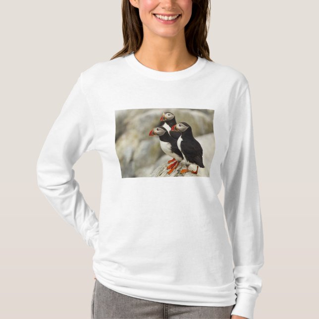 Lund på Machias Seal Island Tee (Framsida)