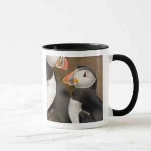 Lundberg Mugg