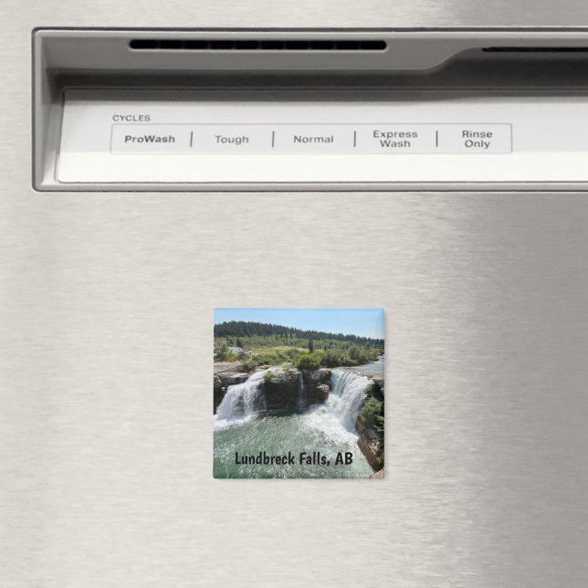 Lundbreck Falls - Albertas natur  Magnet (In Situ (Dishwasher))