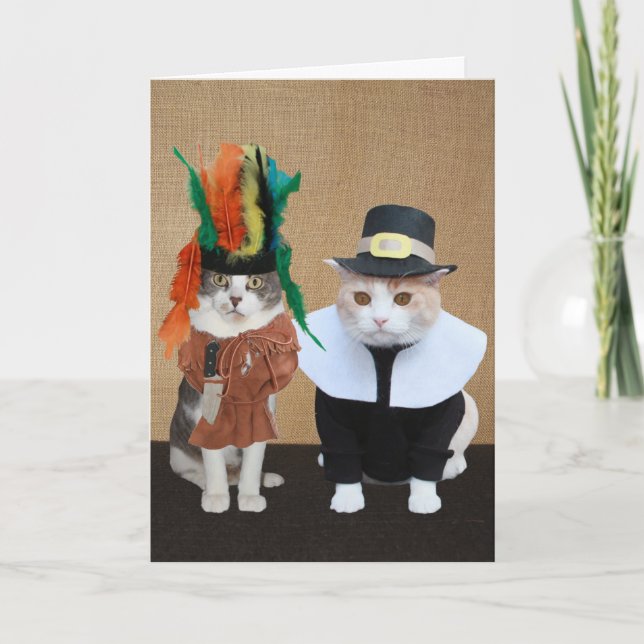 Lundchef och Pilgrim Cat Lover Thanksgiving Helgkort (Framsida)
