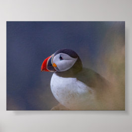 Lundfågel på Island Poster