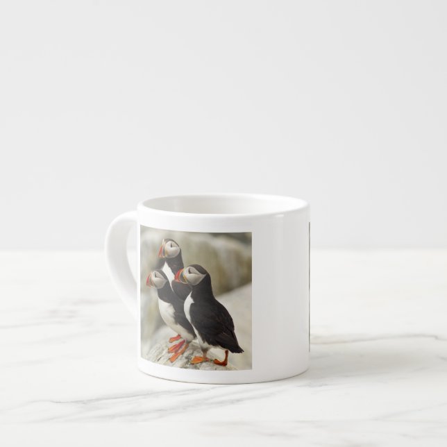 Lundor på Machias Seal Island Espressomugg (Framsida vänster)