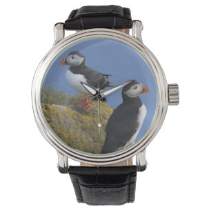 Lundpor (Fratercula arctica) på klippa Armbandsur
