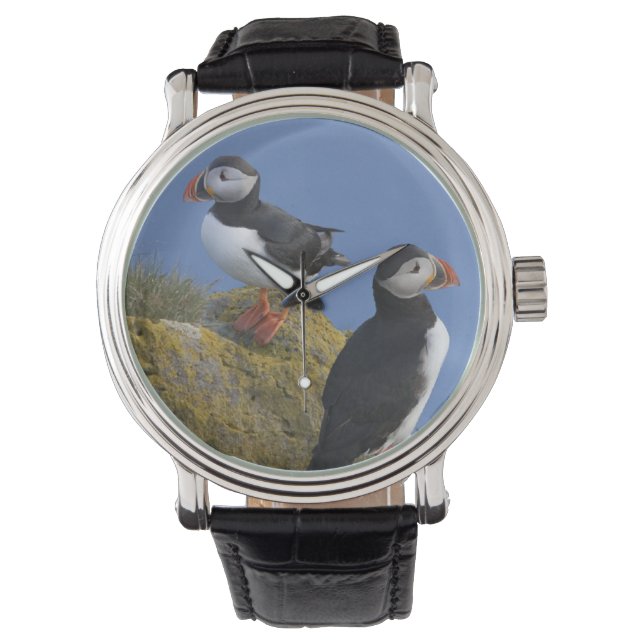 Lundpor (Fratercula arctica) på klippa Armbandsur (Framsida)