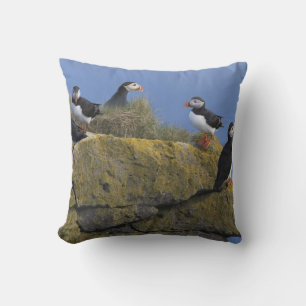 Lundpor (Fratercula arctica) på klippa Kudde