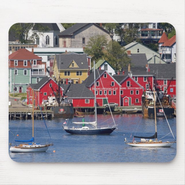 Lunenberg, Nova Scotia, Kanada. 3 Musmatta (Framsidan)