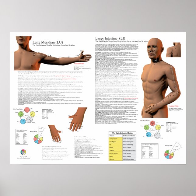 Lung Meridian Akupunkturpunkter Poster (Framsidan)
