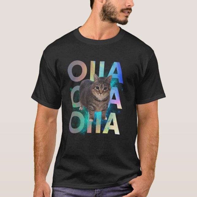 Lung OIIA OIIA Spinning Cat Meme Funny Brainrot E T Shirt (Framsida)