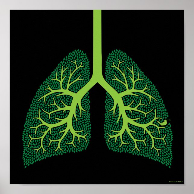 Lung Träd Poster (Framsidan)