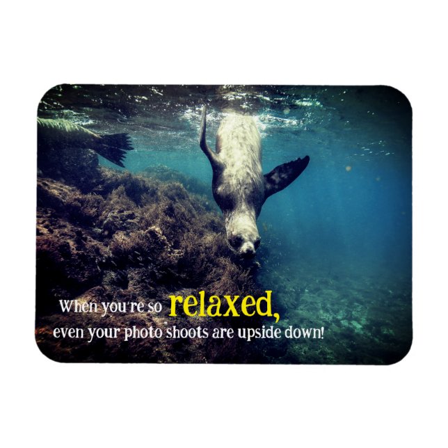 Lungande hav lejont under vatten magnet (Horisontell)