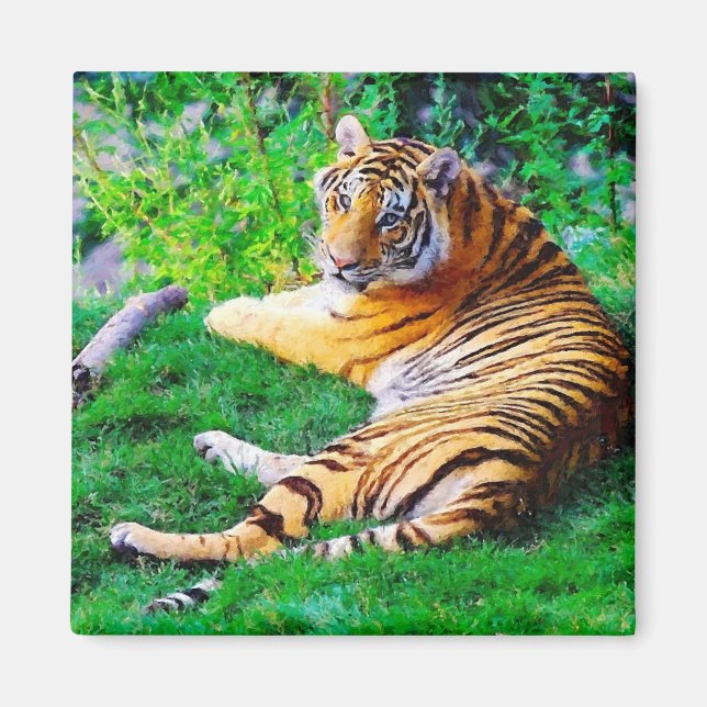 Lungande tigger i Grass Wildlife Magnet (Framsidan)
