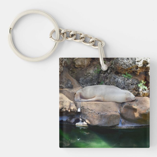 Lungande vithav Lejona på Sten (Framsidan)