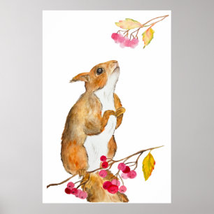 Lungfärgsekorre på gren med bär poster