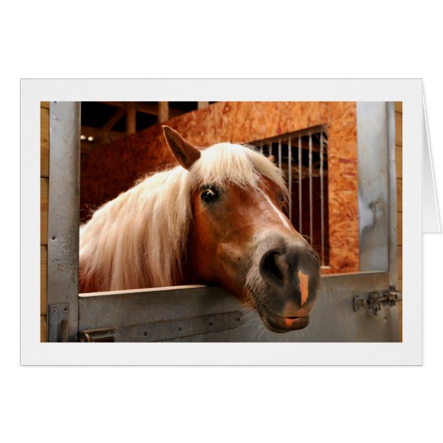 Lunghäst Hälsningskort (Framsidan Horizontal)