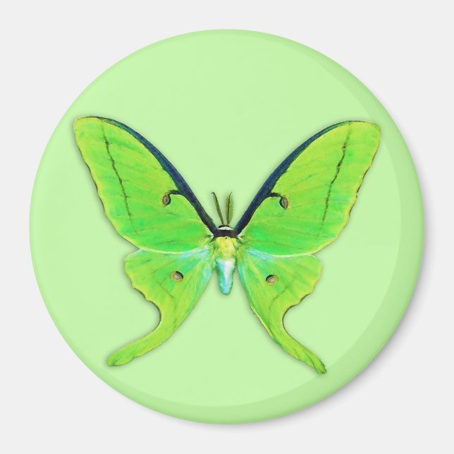 Lunghöjd på blekens grönt magnet (Framsidan)