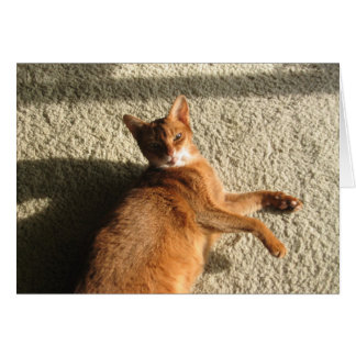 Lungkort för Kattunge Hälsningskort