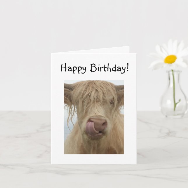 Lungny Highland Cow Birthday Kort (Liten växt)