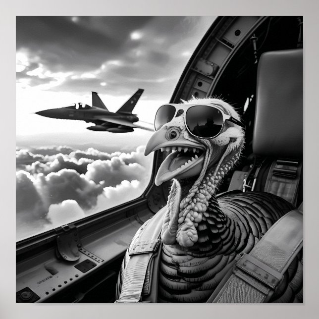 Lungny Turkiet Selfie Black & White Poster (Framsidan)