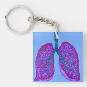 Lungs