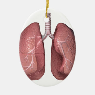 lungs julgransprydnad keramik