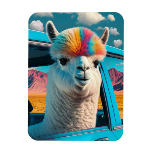Lungt Alpaca i en flexibel bildomän Magnet