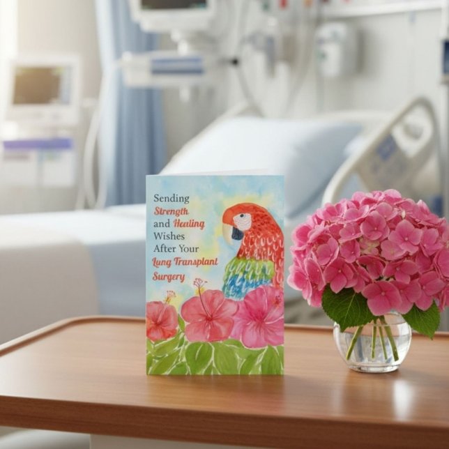 Lungtransplantation Helande Scarlet Macaws, Hibisc Kort (Skapare uppladdad)