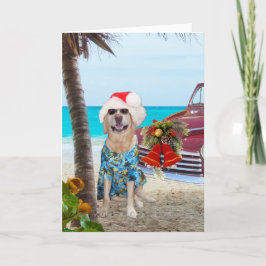 Lunj Lab/Hund Hawaii/Surfer Jul Helgkort